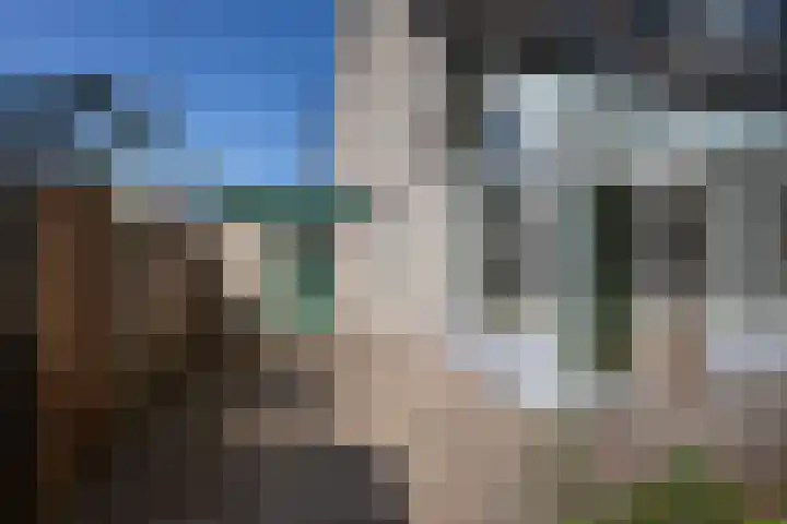 Laan van Vredestein 53 Den Haag thumbnail 30