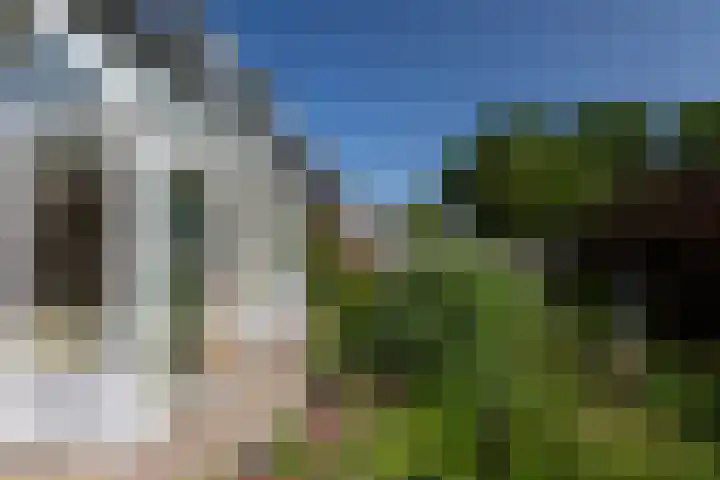 Laan van Vredestein 53 Den Haag thumbnail 31