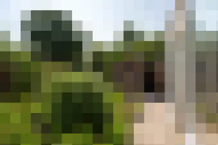 Laan van Vredestein 53 Den Haag thumbnail 32