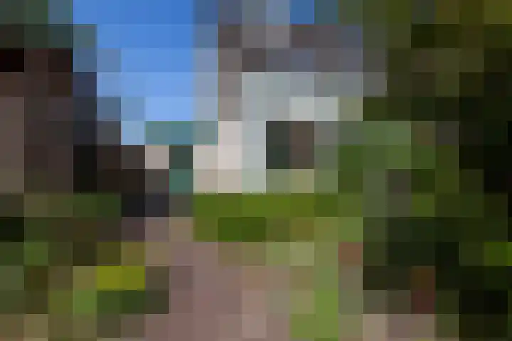 Laan van Vredestein 53 Den Haag thumbnail 33