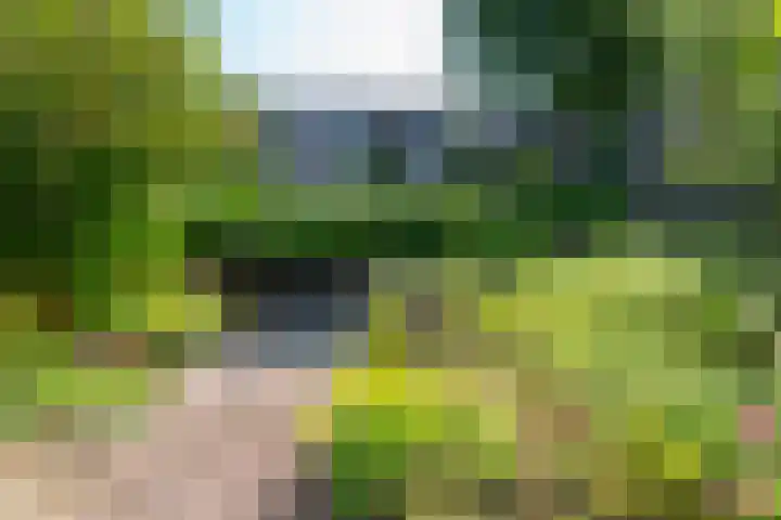 Laan van Vredestein 53 Den Haag thumbnail 34