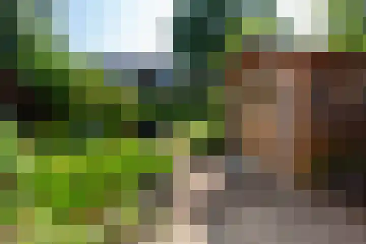 Laan van Vredestein 53 Den Haag thumbnail 35