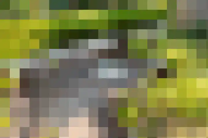 Laan van Vredestein 53 Den Haag thumbnail 36