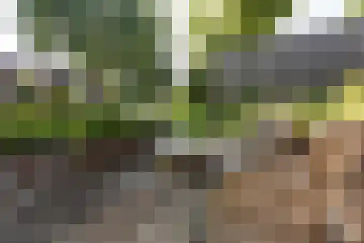 Laan van Vredestein 53 Den Haag thumbnail 37