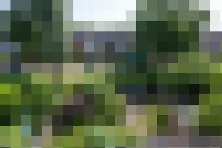 Laan van Vredestein 53 Den Haag thumbnail 39