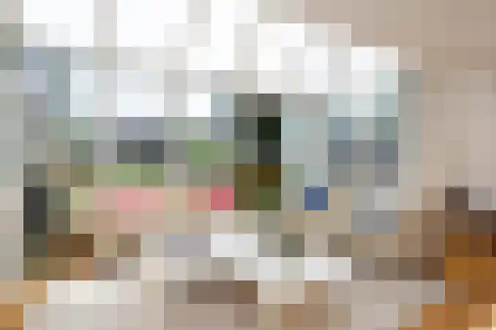 Laan van Vredestein 53 Den Haag thumbnail 4