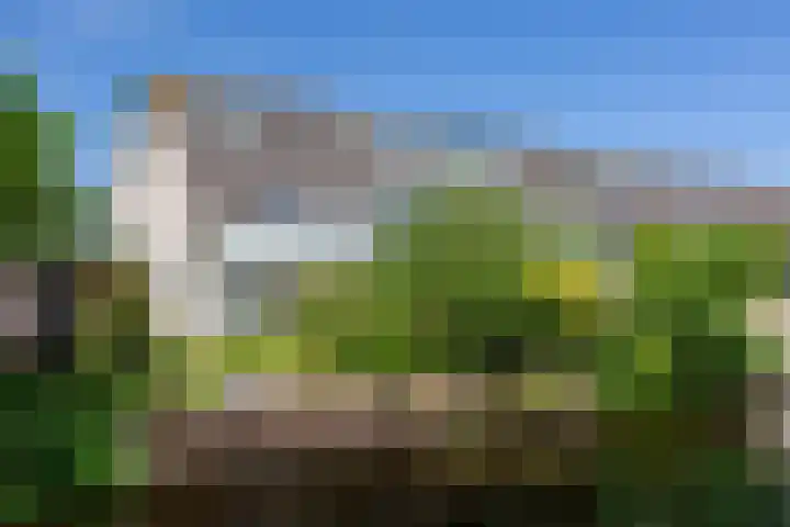 Laan van Vredestein 53 Den Haag thumbnail 41