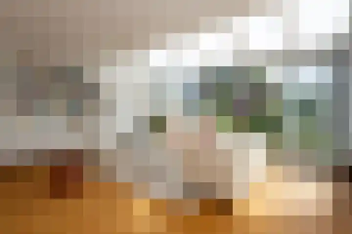 Laan van Vredestein 53 Den Haag thumbnail 5