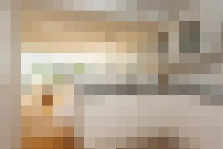 Laan van Vredestein 53 Den Haag thumbnail 9