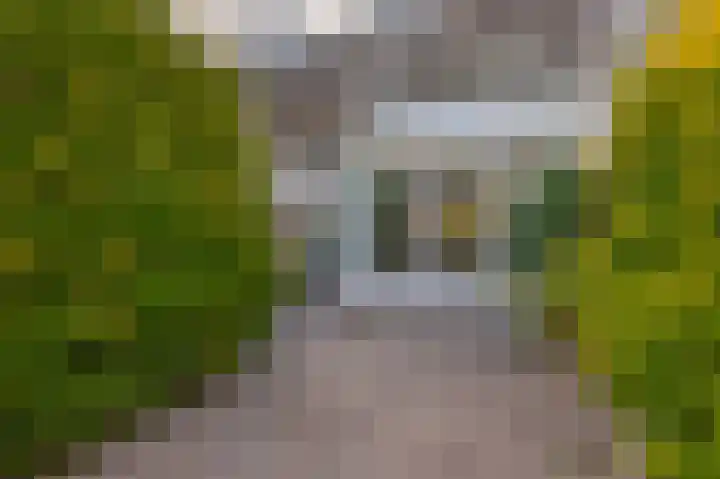 Laan van Vredestein 88 Den Haag thumbnail 27