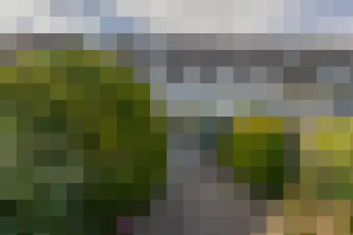 Laan van Vredestein 88 Den Haag thumbnail 28