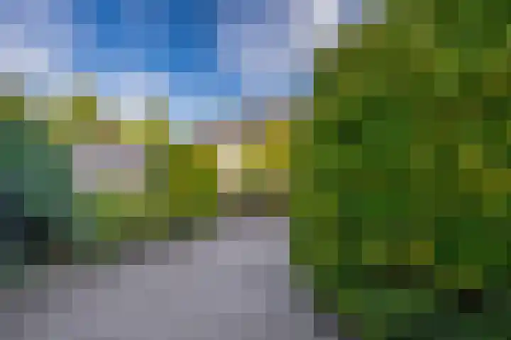 Laan van Vredestein 88 Den Haag thumbnail 30