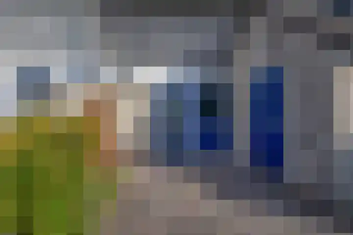 Laan van Vredestein 88 Den Haag thumbnail 4