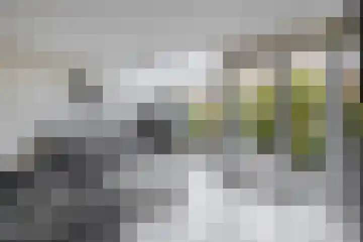 Laan van Vredestein 88 Den Haag thumbnail 5