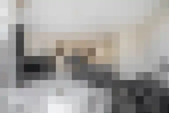Laan van Vredestein 88 Den Haag thumbnail 6