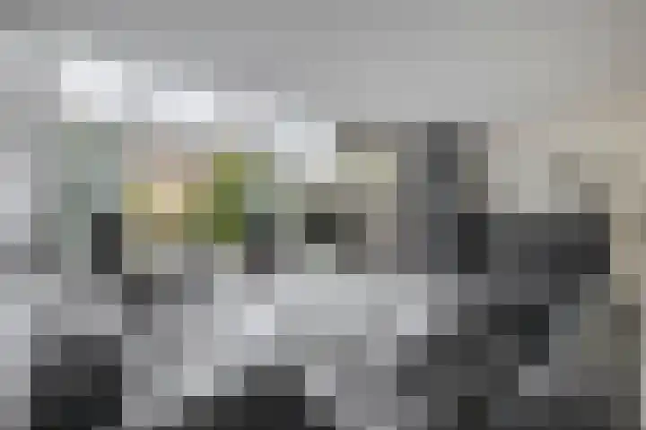 Laan van Vredestein 88 Den Haag thumbnail 7