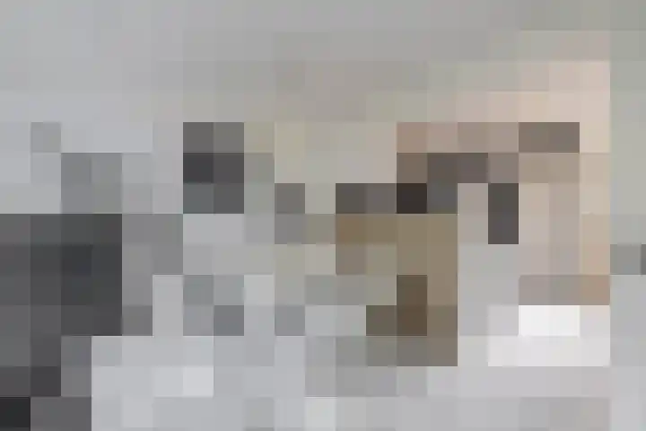 Laan van Vredestein 88 Den Haag thumbnail 8