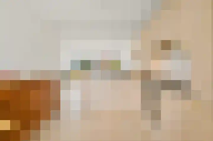 Laan van Vredestein 92 Den Haag thumbnail 19