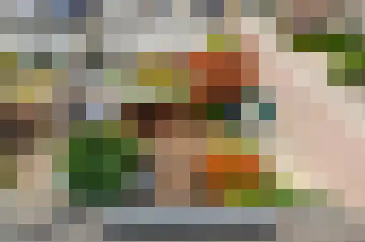 Laan van Vredestein 92 Den Haag thumbnail 35
