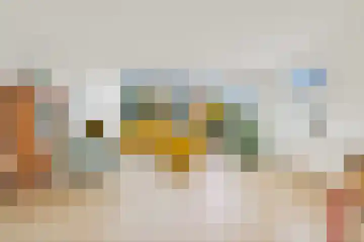 Laan van Vredestein 92 Den Haag thumbnail 9