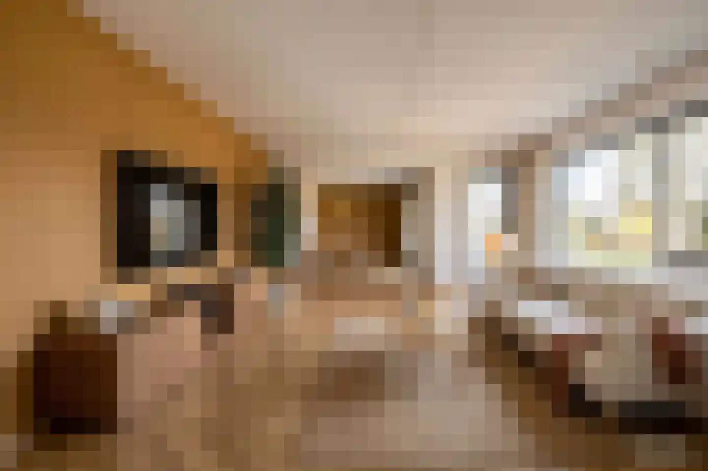 Laan van Wallonië 14 Roosendaal thumbnail 4