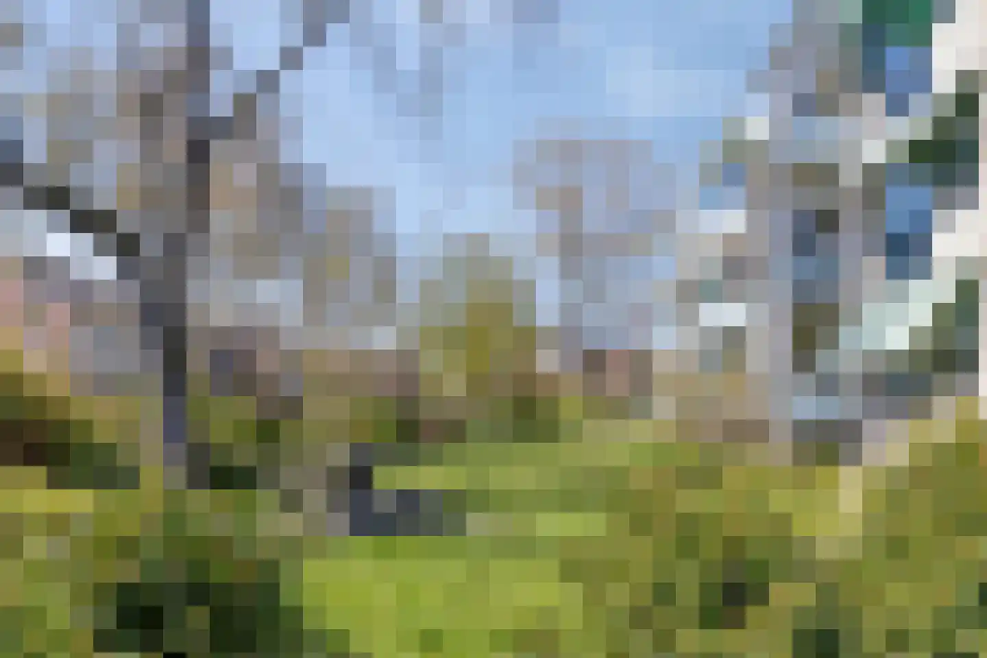 Laan van Wallonië 14 Roosendaal thumbnail 52