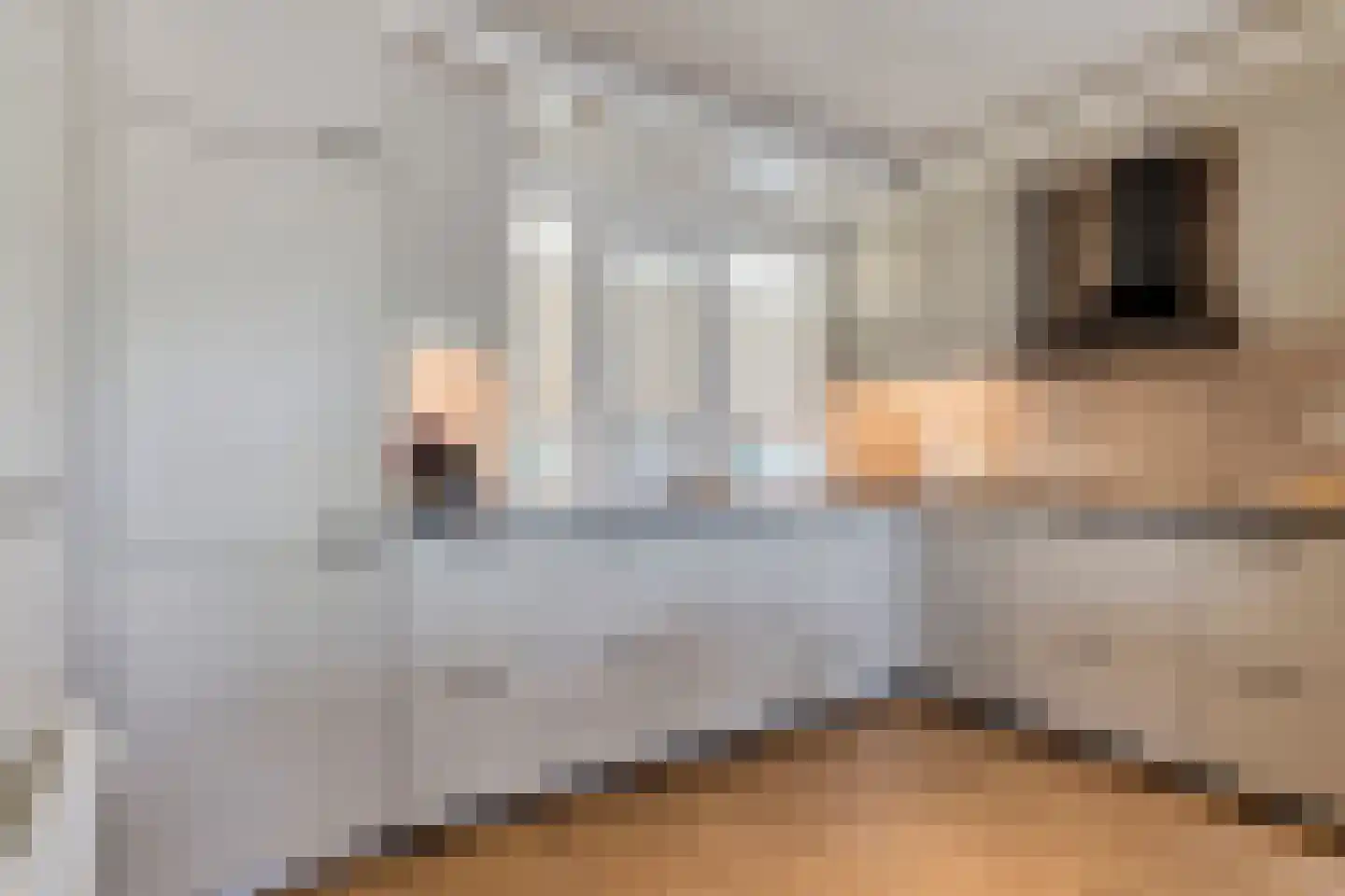 Laan van Wallonië 16 Roosendaal thumbnail 11