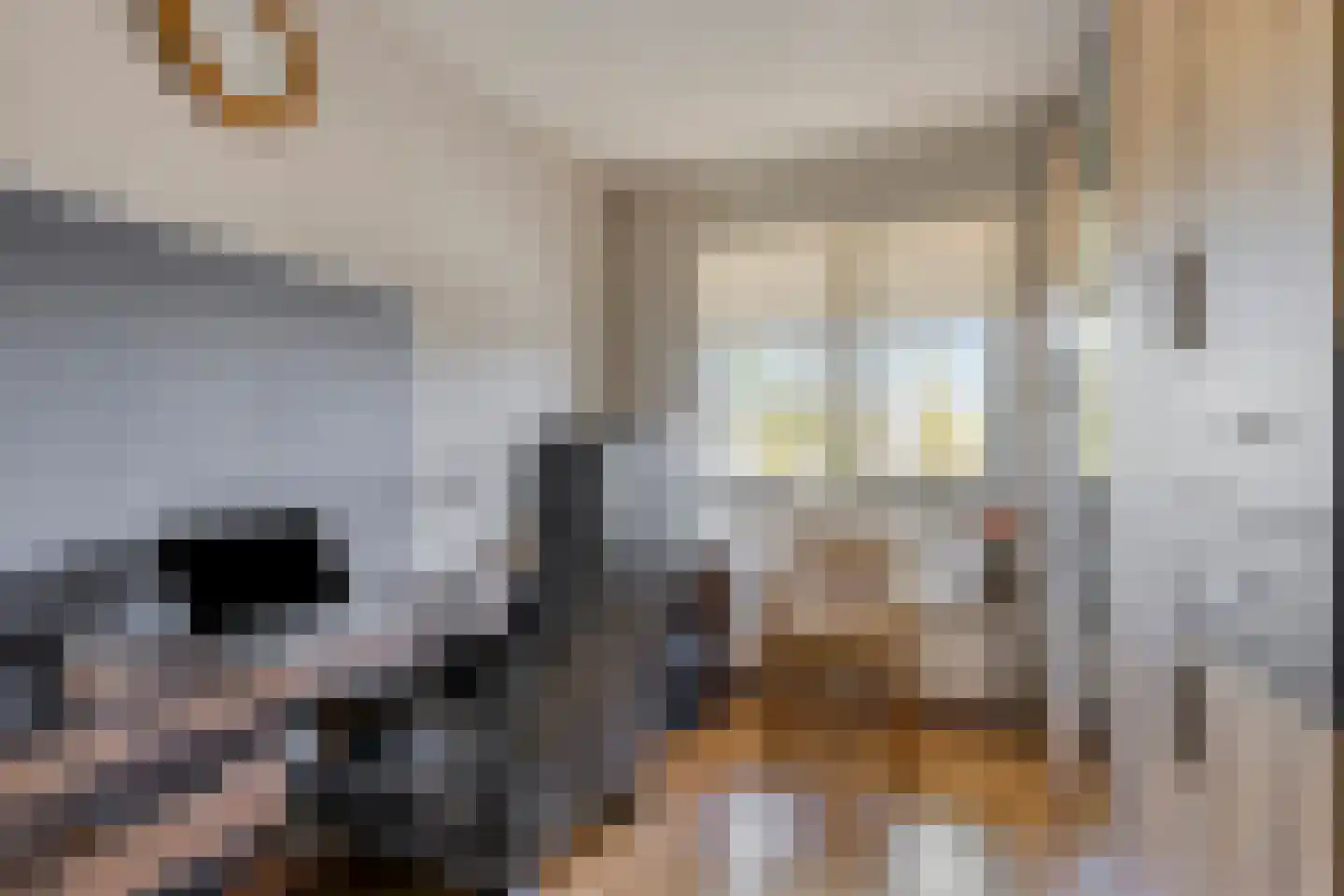 Laan van Wallonië 16 Roosendaal thumbnail 15