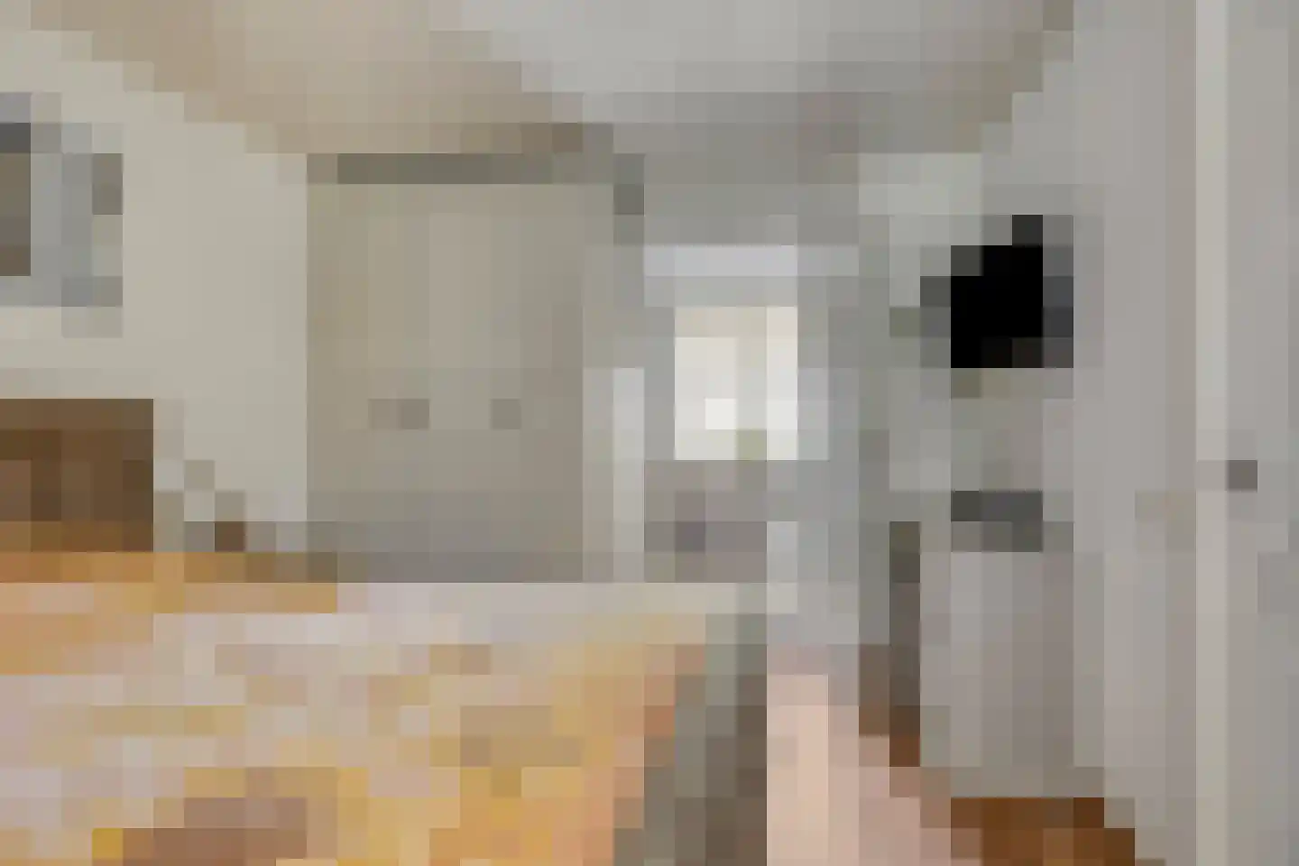 Laan van Wallonië 16 Roosendaal thumbnail 18