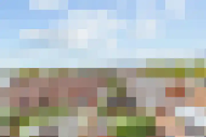 Laan van Wateringse Veld 1015 Den Haag thumbnail 20