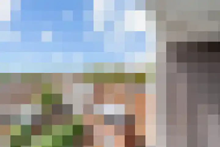 Laan van Wateringse Veld 1015 Den Haag thumbnail 21