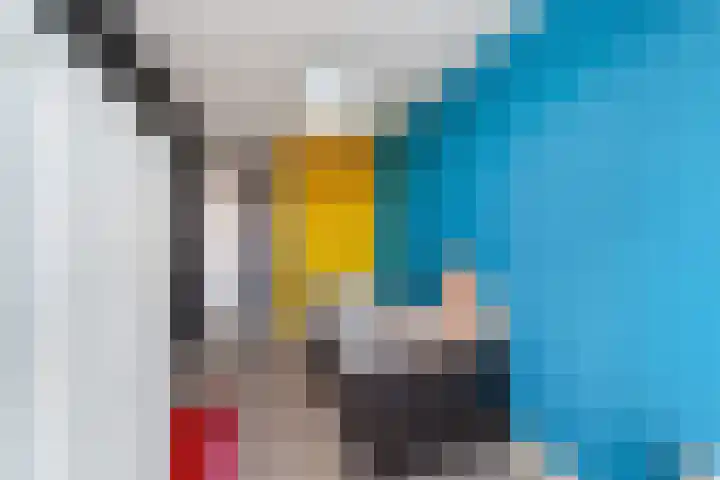 Laan van Wateringse Veld 1015 Den Haag thumbnail 22