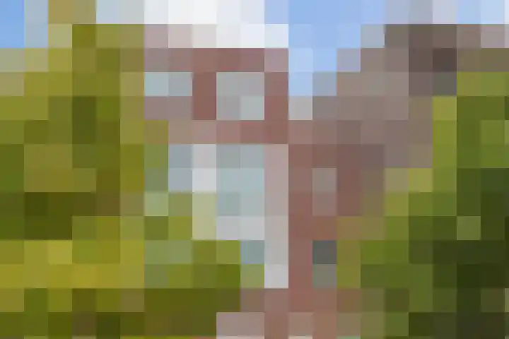 Laan van Wateringse Veld 1015 Den Haag thumbnail 26