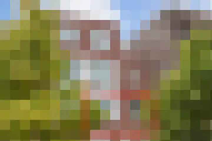 Laan van Wateringse Veld 1015 Den Haag thumbnail 27