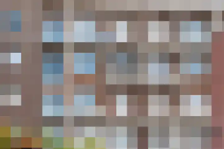 Laan van Wateringse Veld 1015 Den Haag thumbnail 29