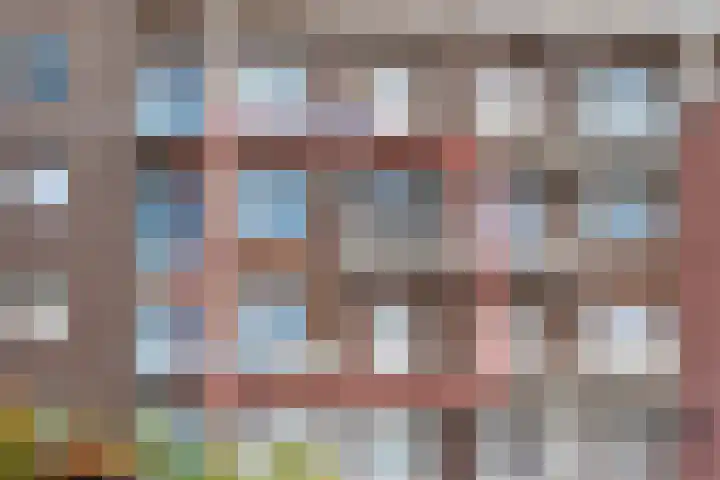 Laan van Wateringse Veld 1015 Den Haag thumbnail 30