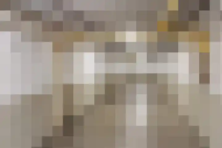 Laan van Wateringse Veld 1015 Den Haag thumbnail 31