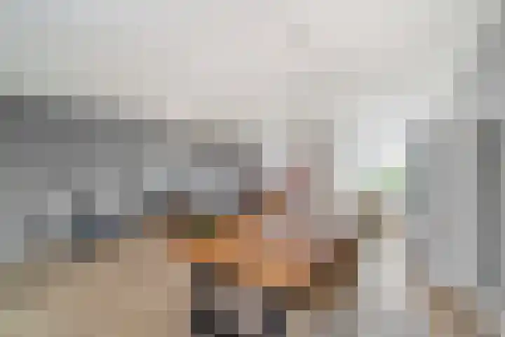 Laan van Wateringse Veld 1015 Den Haag thumbnail 6