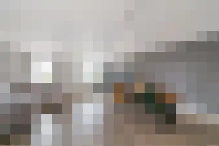 Laan van Wateringse Veld 1015 Den Haag thumbnail 7