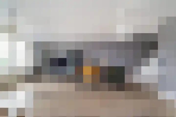 Laan van Wateringse Veld 1015 Den Haag thumbnail 8