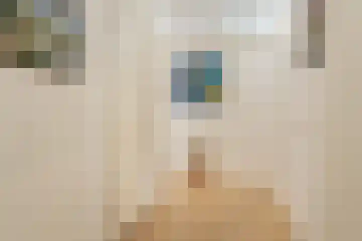 Laan van Wateringse Veld 1037 Den Haag thumbnail 13