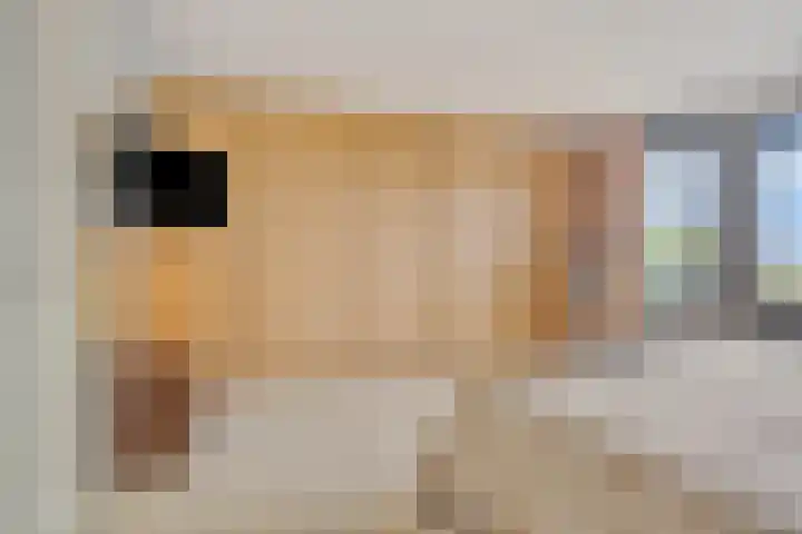 Laan van Wateringse Veld 1037 Den Haag thumbnail 15