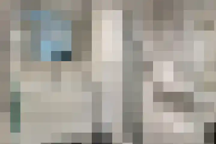Laan van Wateringse Veld 1037 Den Haag thumbnail 16