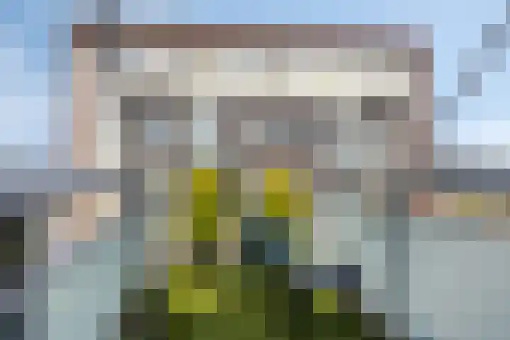 Laan van Wateringse Veld 1037 Den Haag thumbnail 22