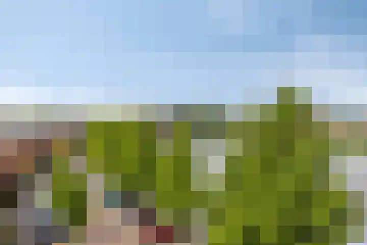 Laan van Wateringse Veld 1037 Den Haag thumbnail 24