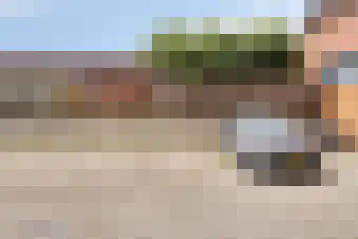 Laan van Wateringse Veld 1037 Den Haag thumbnail 26
