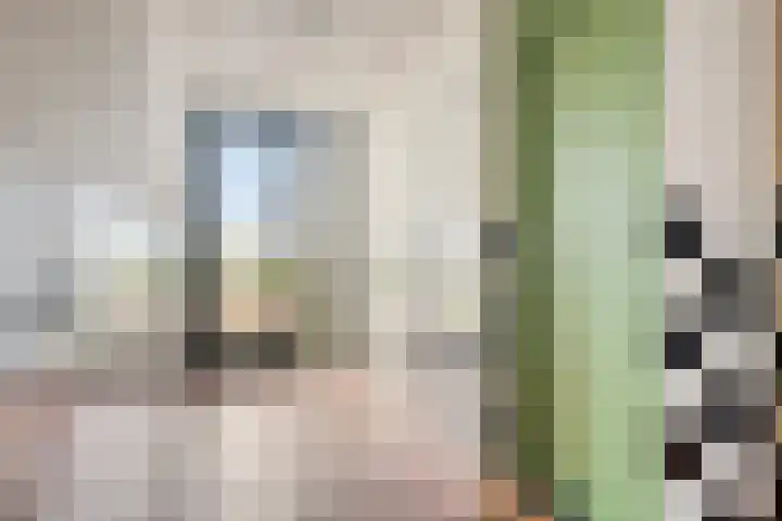 Laan van Wateringse Veld 1037 Den Haag thumbnail 6