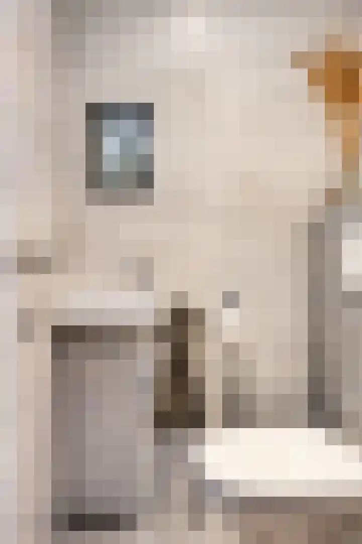 Laan van Wateringse Veld 1037 Den Haag thumbnail 7