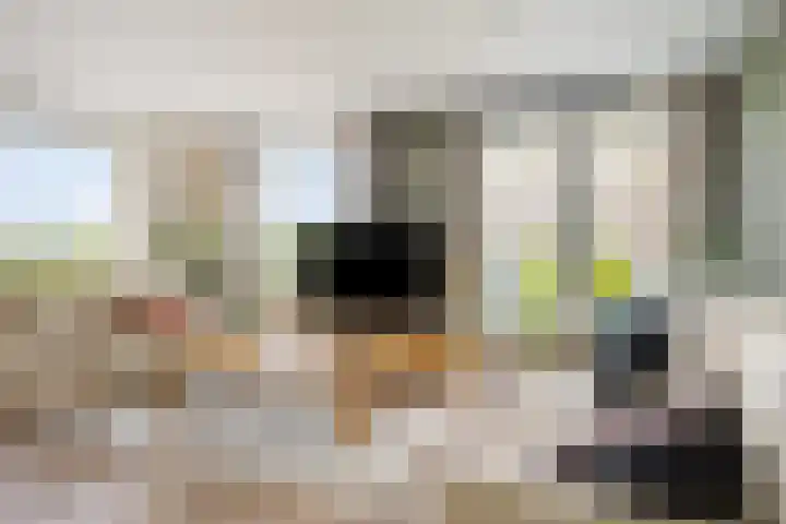 Laan van Wateringse Veld 1037 Den Haag thumbnail 8