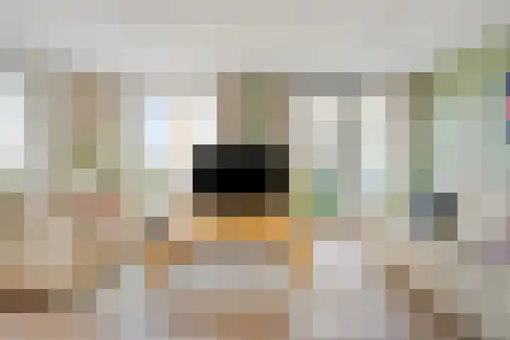 Laan van Wateringse Veld 1037 Den Haag thumbnail 9